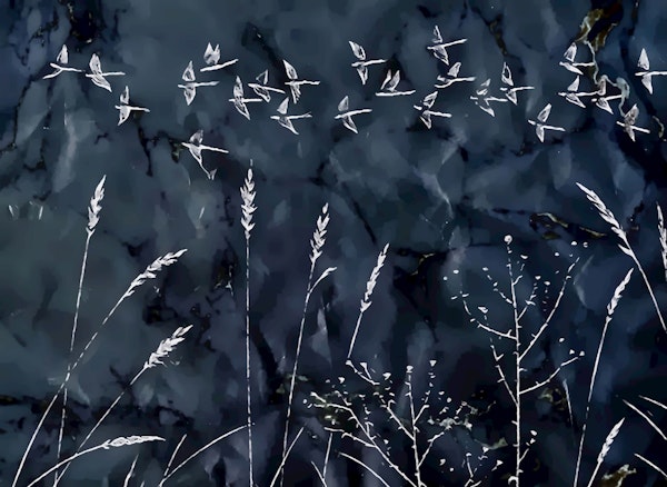 Bird Flight on Marble