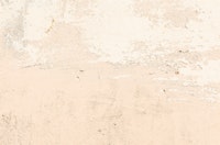 Light Peach Grunge Wall ταπετσαρία