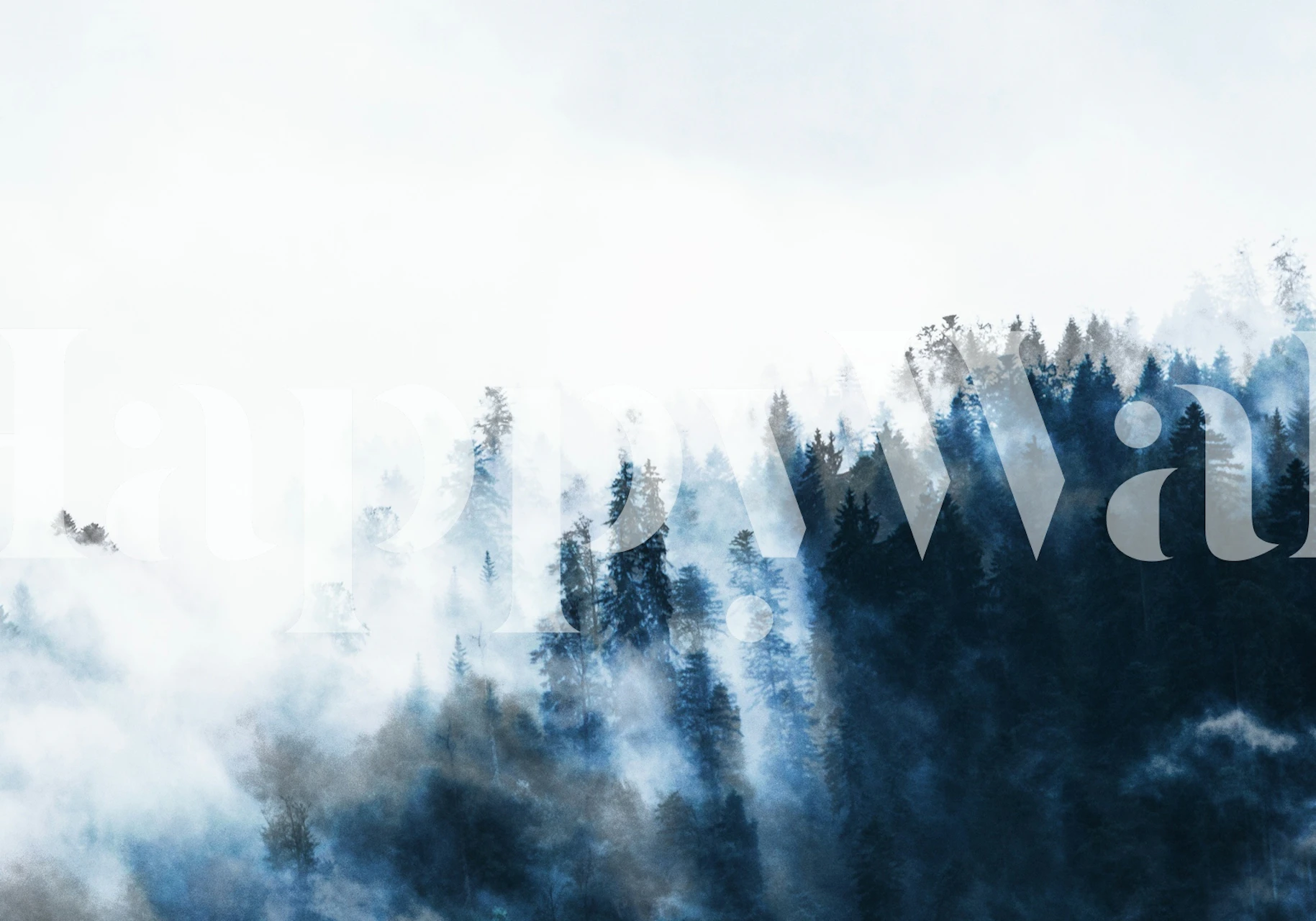 Foggy forest with mountain mist wall mural for a calming ambience