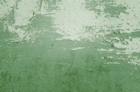 Greenery Grunge Wall ταπετσαρία