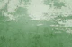 Greenery Grunge Wall