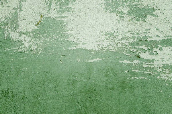 Greenery Grunge Wall