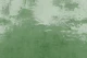 Greenery Grunge Wall