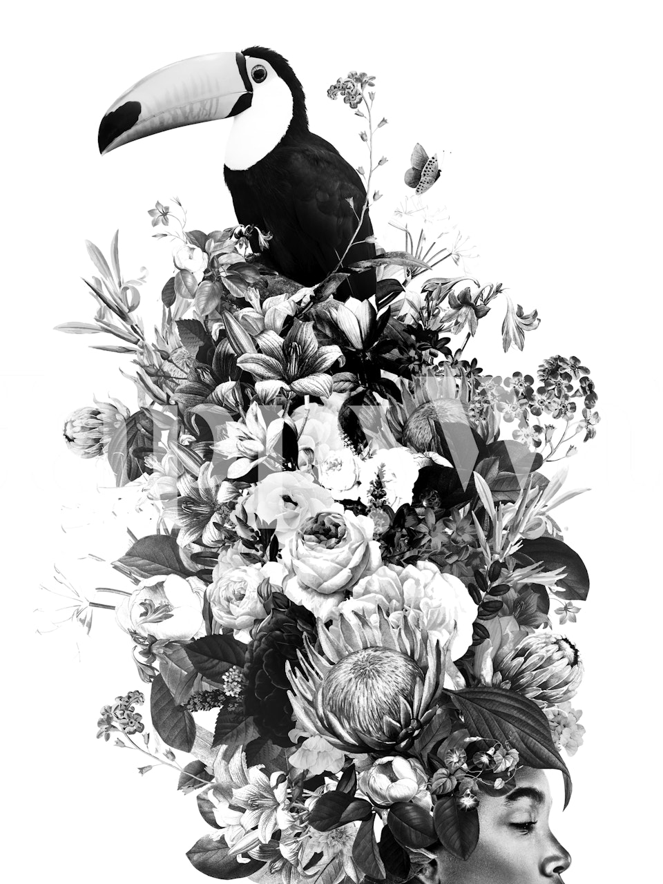 Svart og hvitt veggmaleri med kvinne- og blomsterdesign inkludert en tukan