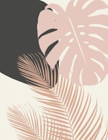 Monstera Palm Finesse 6 ταπετσαρία