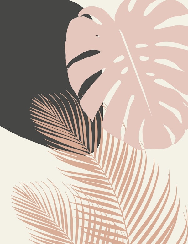 Monstera Palm Finesse 6