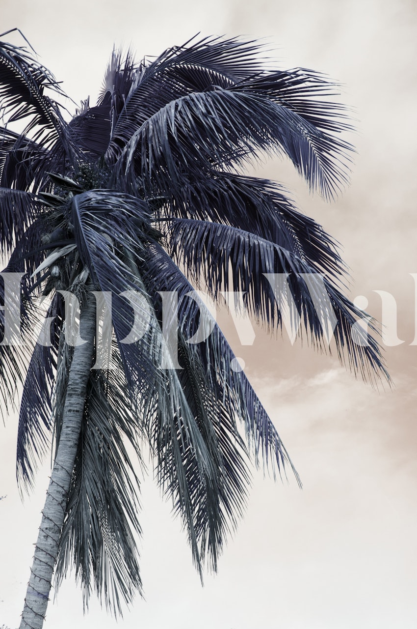 Tropical Palm Finesse 3 σε ένα δωμάτιο