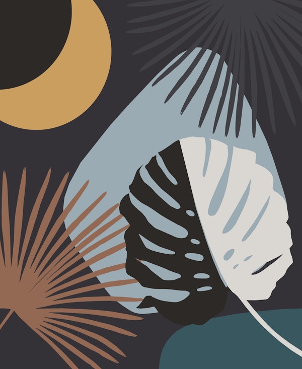 Yin Yang Monstera Palm Night 2