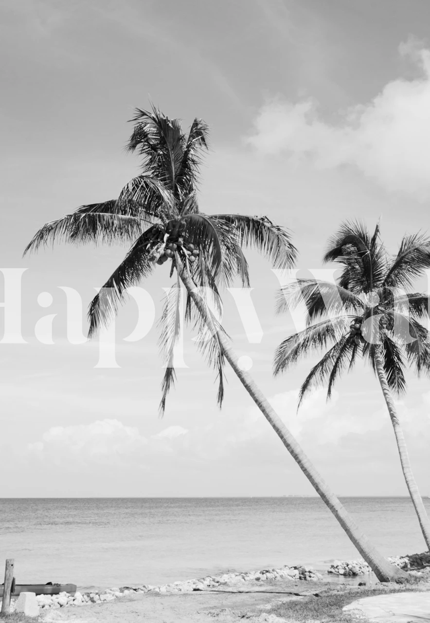 Palm Tree Beach Oasis wallpaper in a room