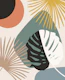 Yin Yang Monstera Finesse 5