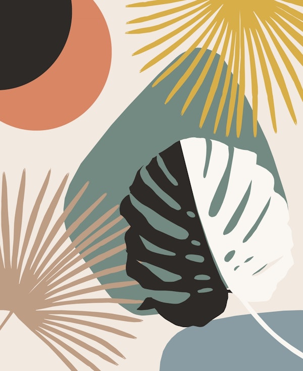 Yin Yang Monstera Finesse 5