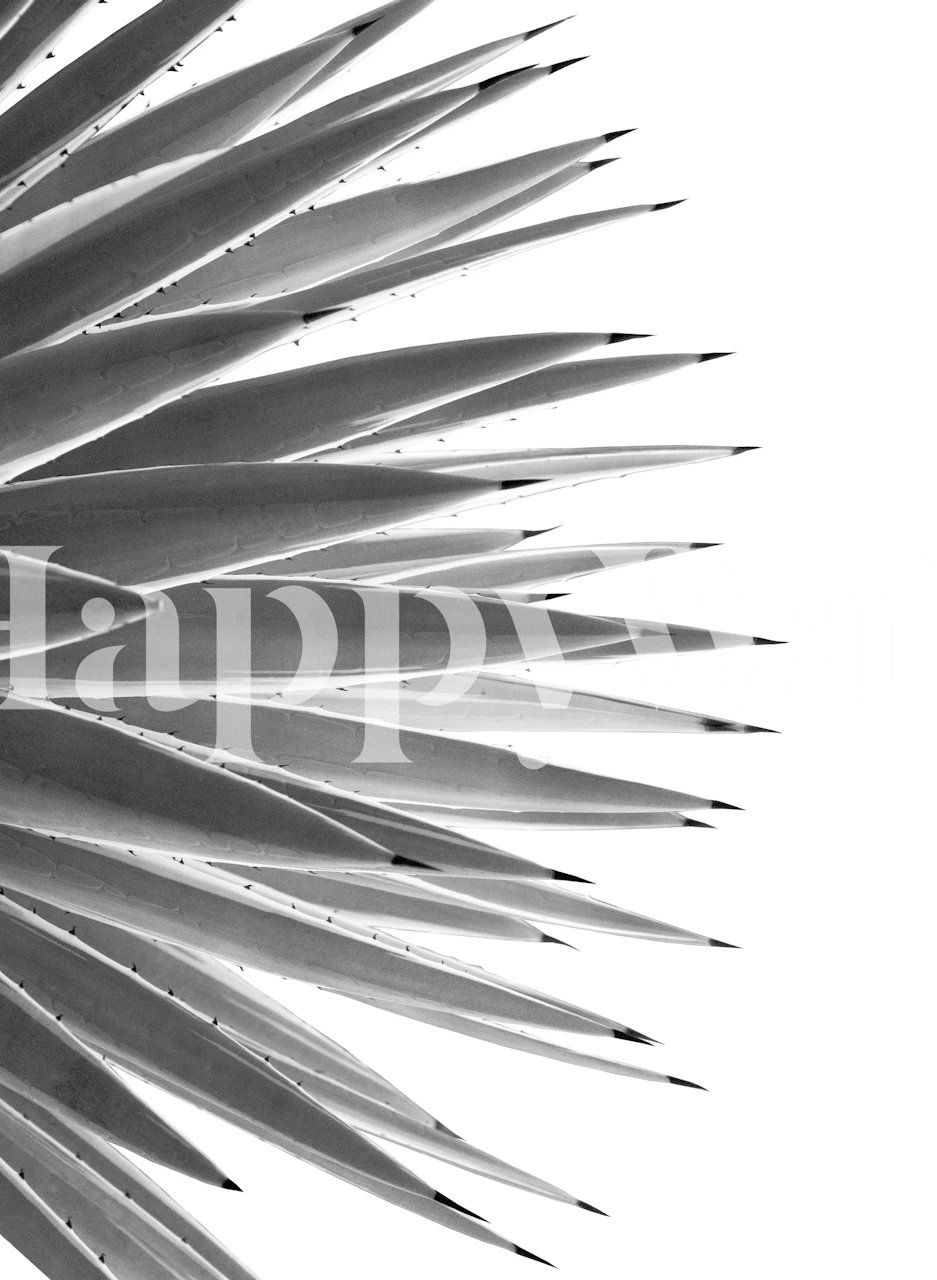 Black og White agave tapet i et rum