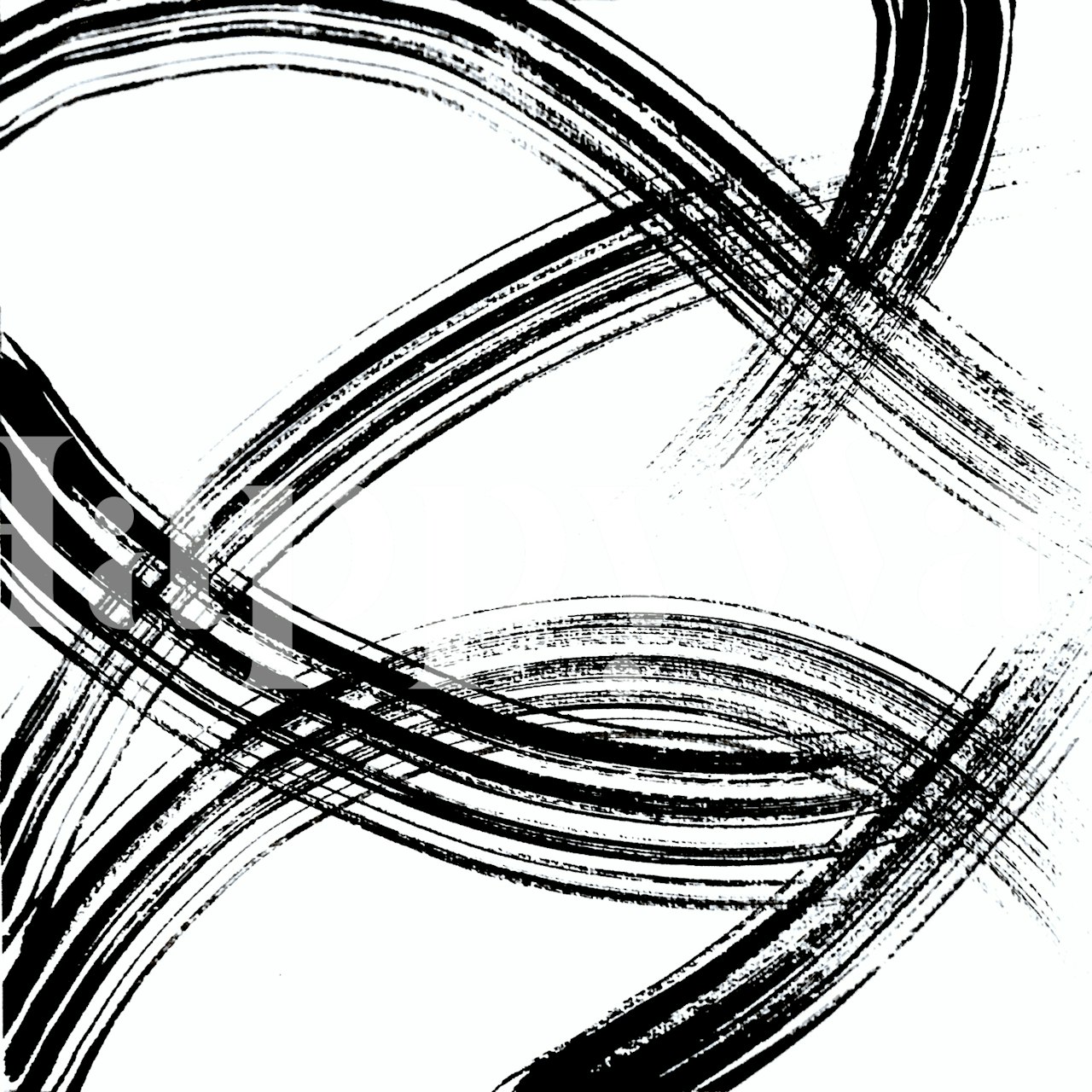 Abstract black and white wave strokes wall mural