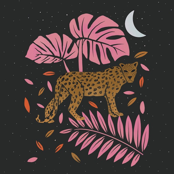 Leopard Black and Pink