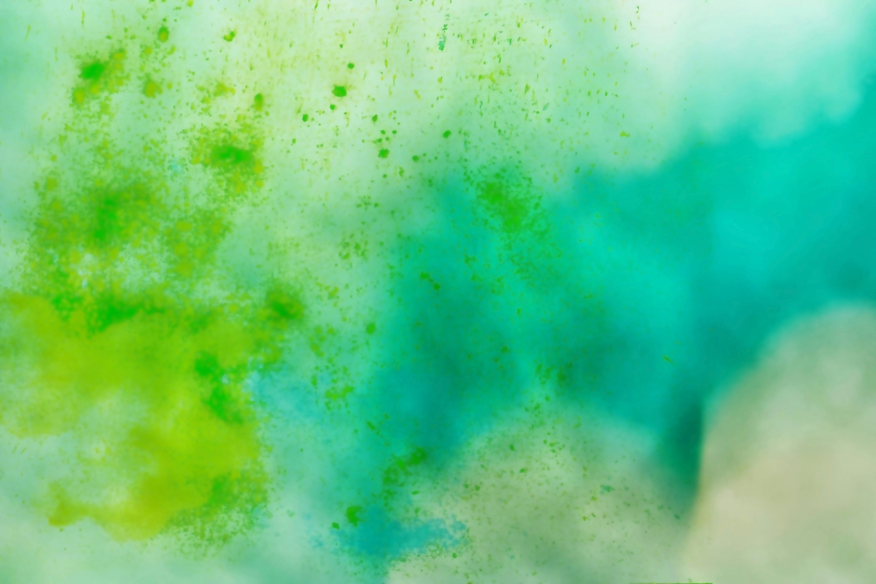 Spring V2 Wallpaper - Refresh Your Space | Happywall