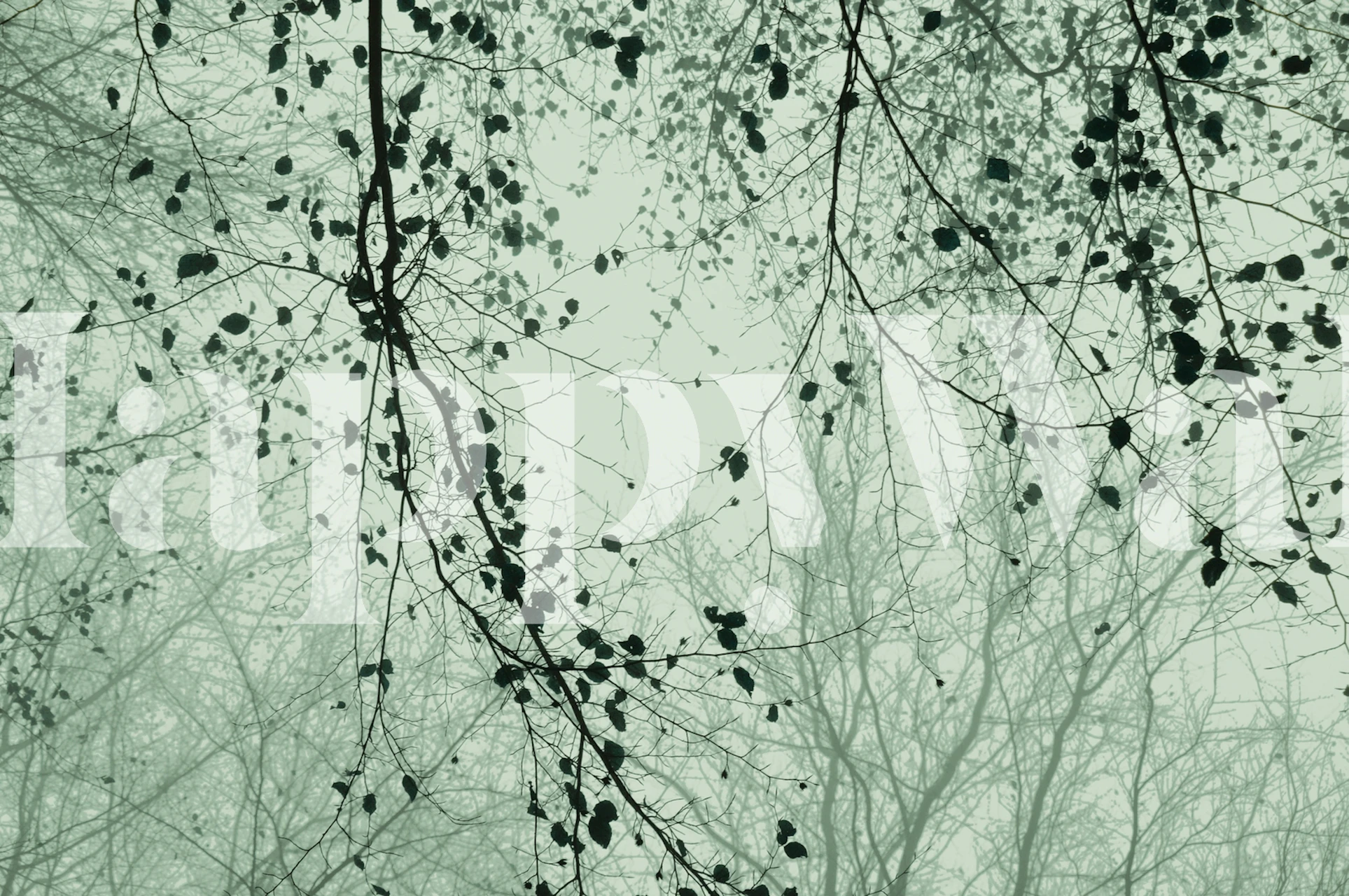 Sage Colored Wallpaper featuring Leaves and Branches