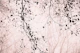 leaves and branches pale pink