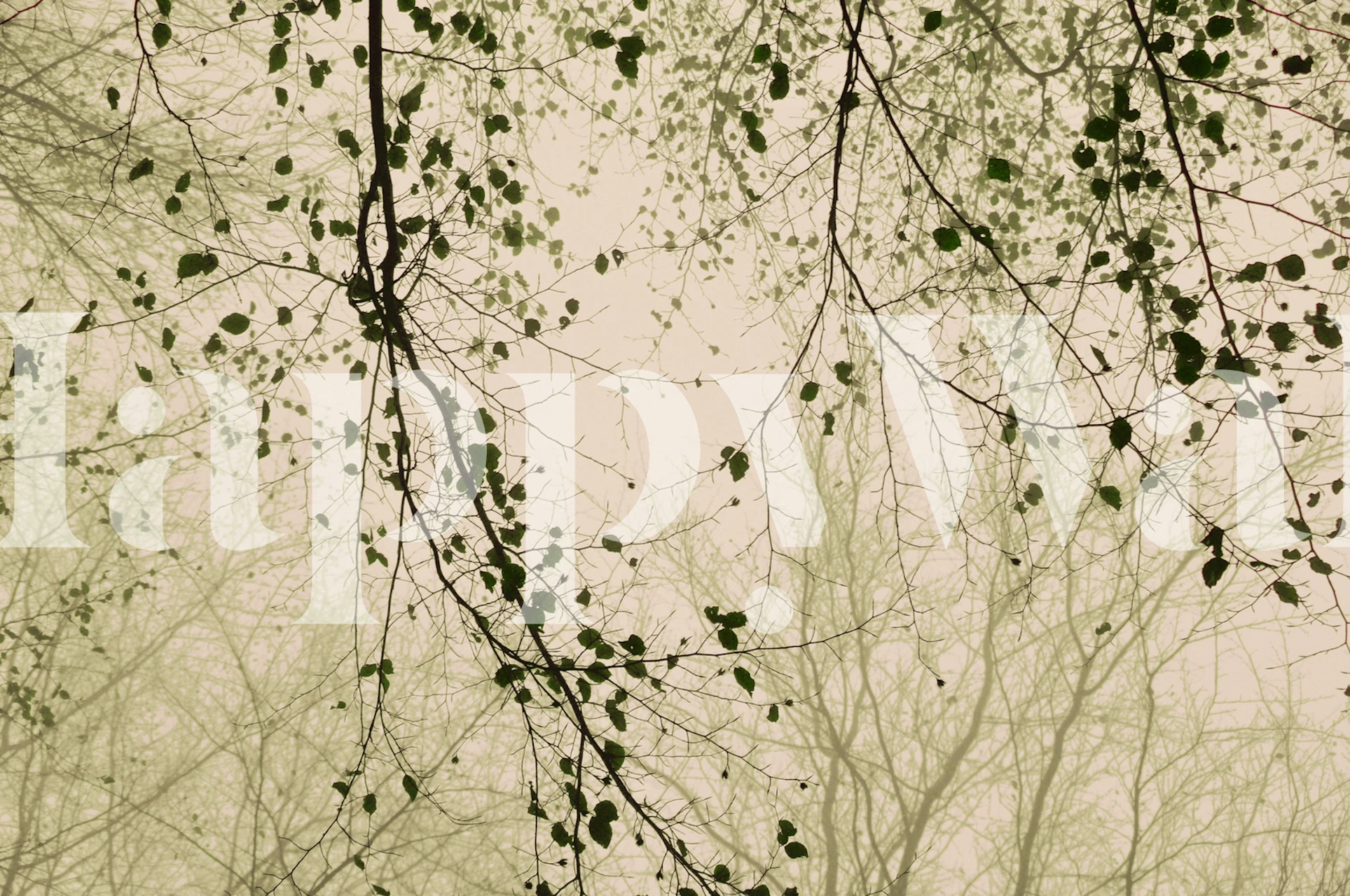 Leaves and branches wallpaper in a room