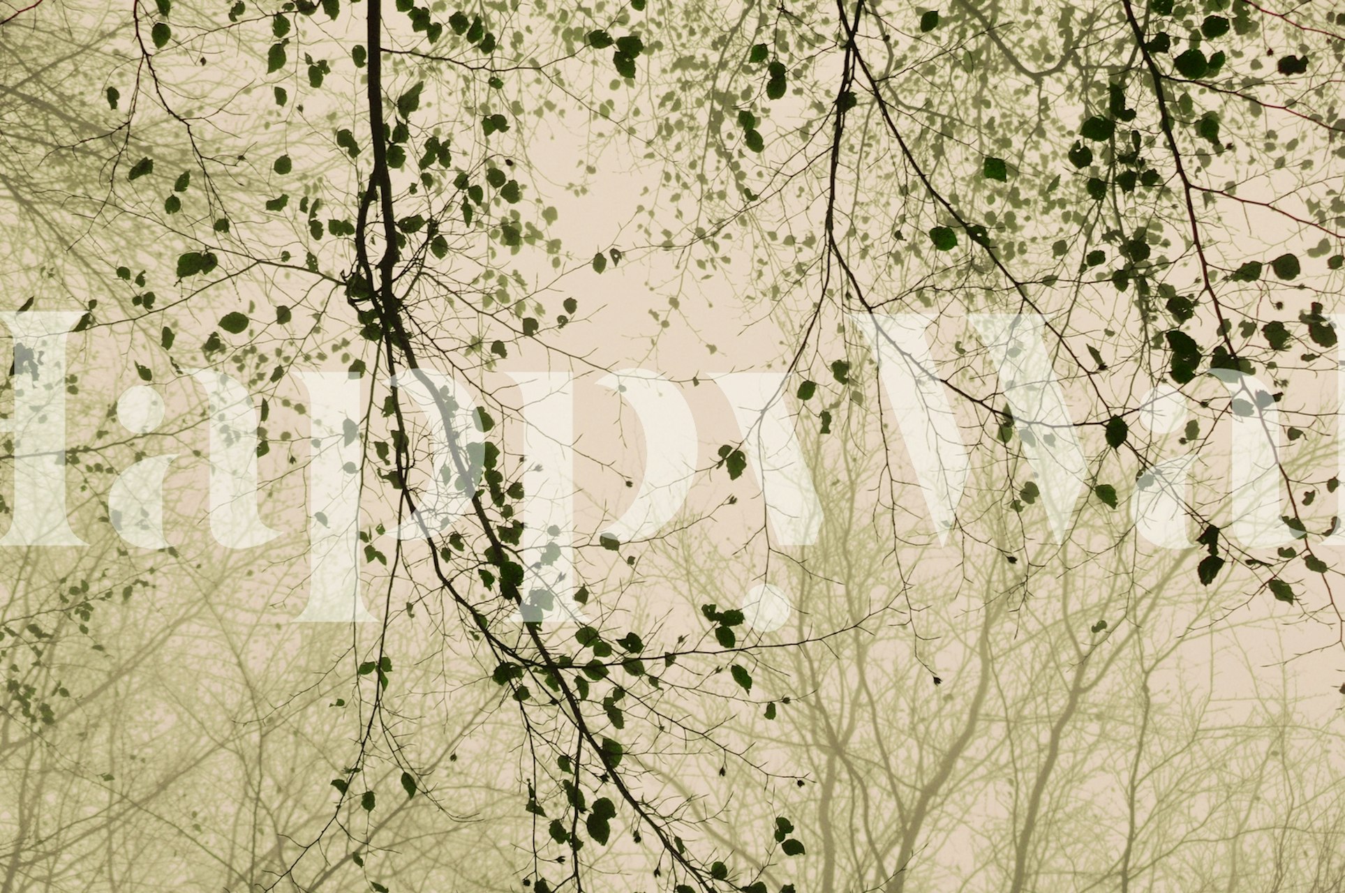 Papel de parede Leaves and branches em um quarto