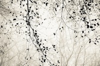 Leaves and branches neutral tapetit