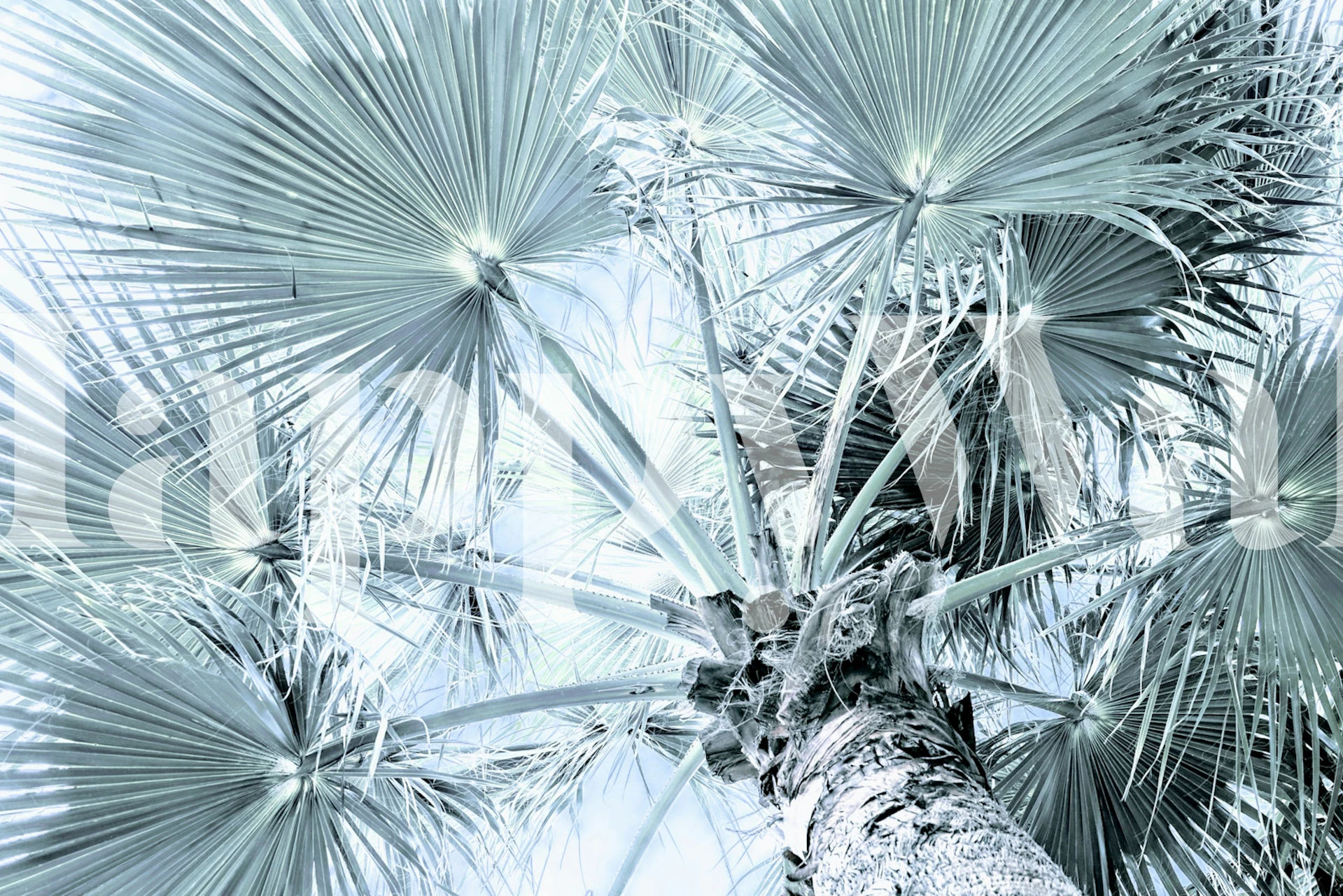 papel de parede Silver Green Palm Tree em um quarto