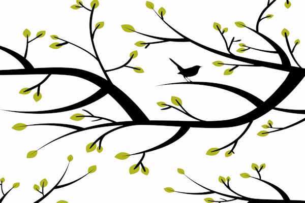 Spring Branches Delight