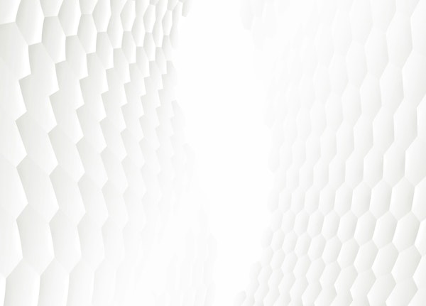 White Minimalist Grid