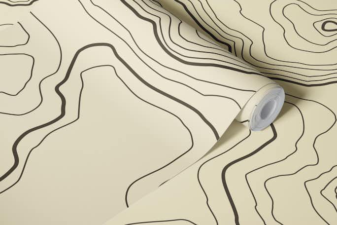 Topographical mapwallpaper roll