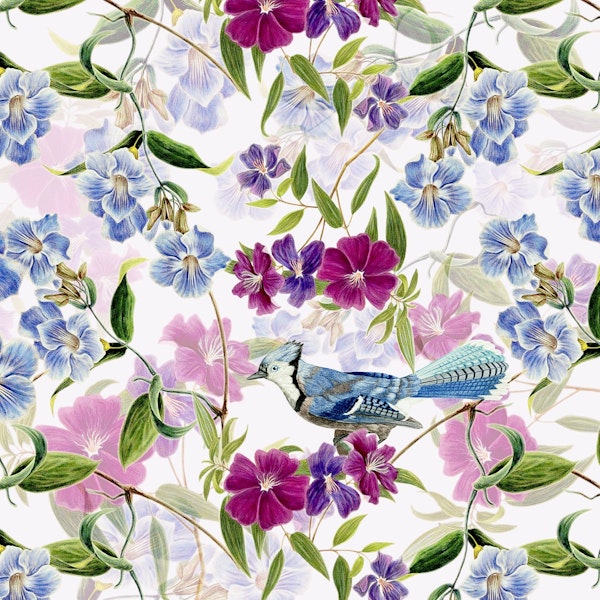 Blue Jay with Blue Flowers