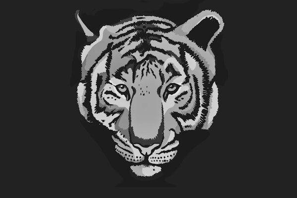 Black And White Tiger