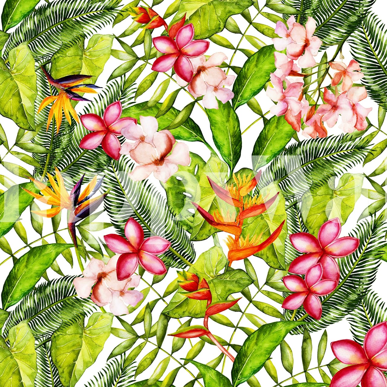 Fotomural vinílico de parede Plumeria e flores tropicais da selva com vegetação exuberante e flores rosa