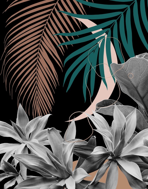 Moon Agave Night Finesse 1