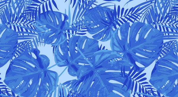 Blue Night Monstera Leaves