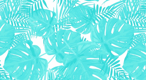 Bright Turquoise Monstera