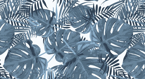 Blue Grey Monstera Leaves