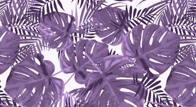 general.design-type-header-mural