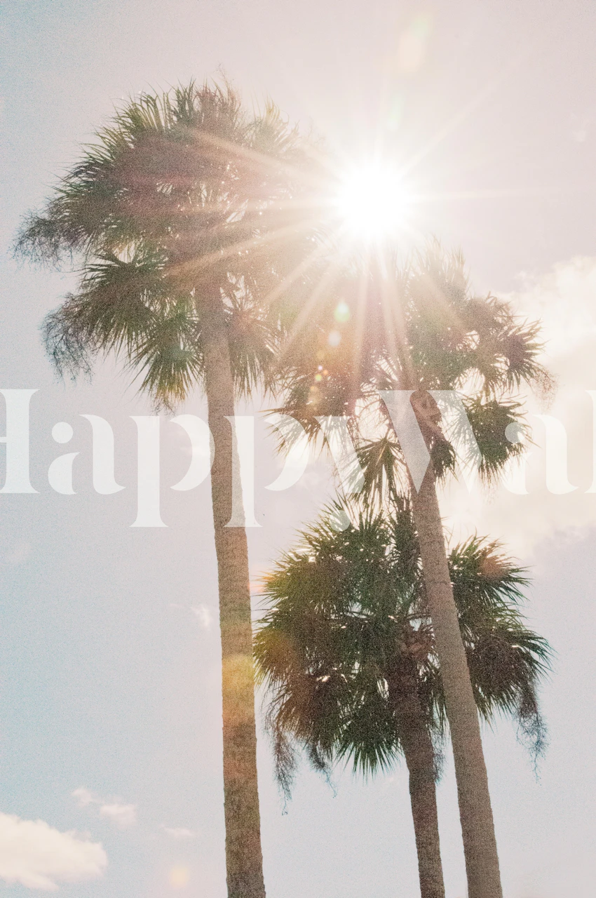 Palm trees under a bright sun with blue sky wallpaper