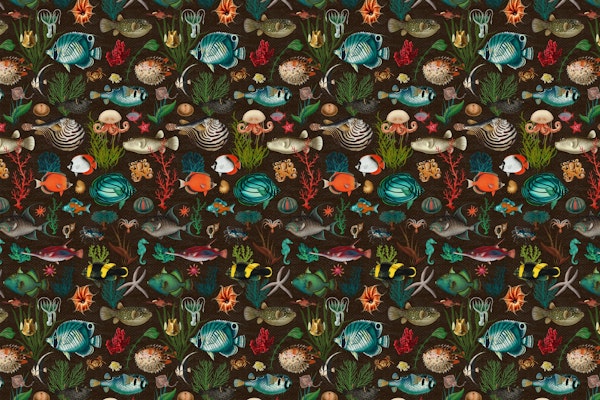 Oceania in dark brown