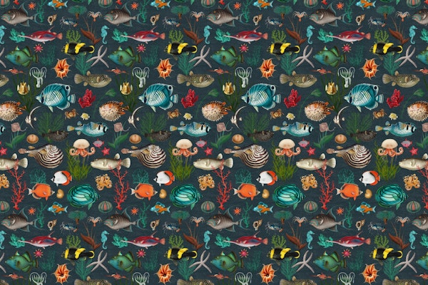 Oceania in dark slate grey