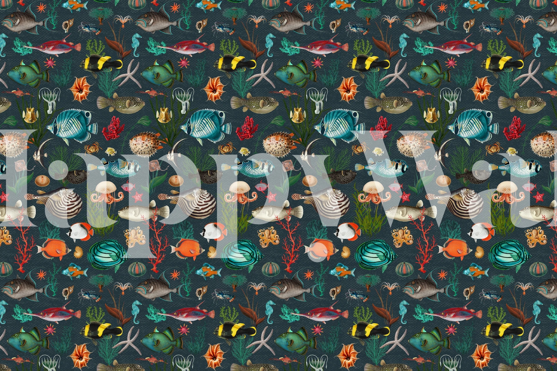 Oceania in dark slate grey wallpaper in a room