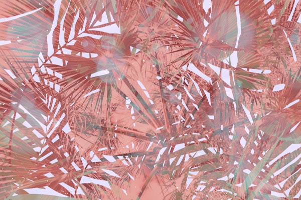 Tropical Leaf Fashion