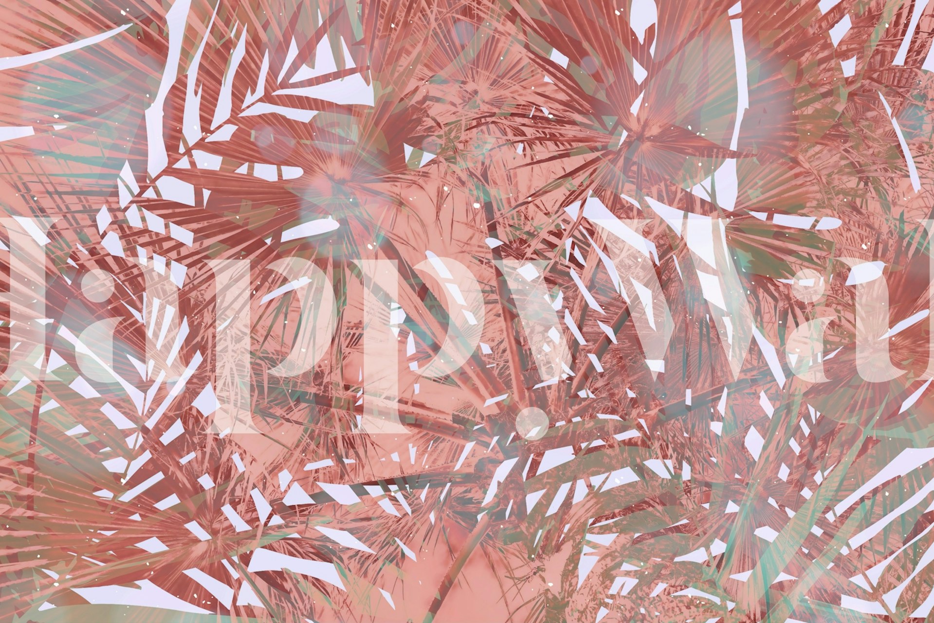Pink palm leaves wallpaper featuring a tropical design