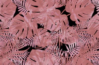 Blush Monstera Leaf Night wallpaper