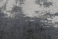 Black Grunge Wall tapete