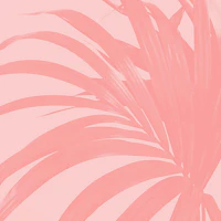 Pink Palm Leaves papiers peint