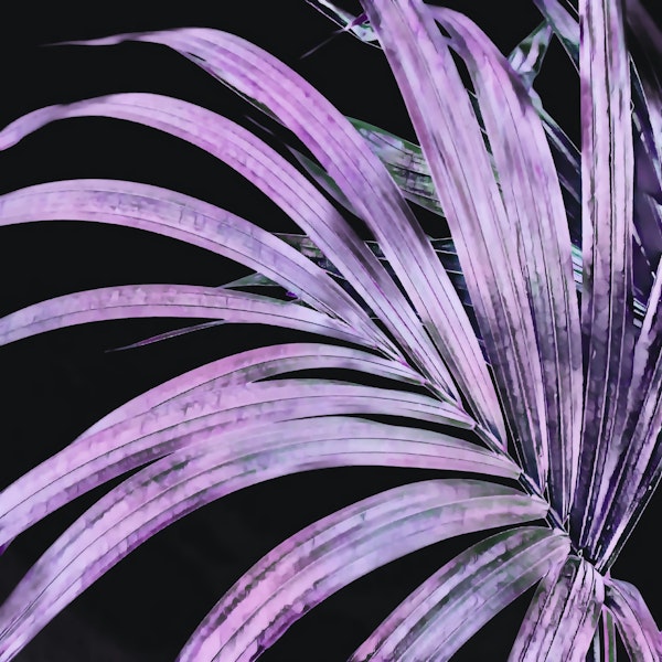 Trendy Purple Palm Leaf