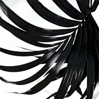 Trendy Black Palm Leaf papel pintado