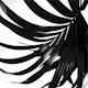 Trendy Black Palm Leaf