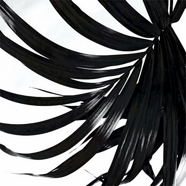 Trendy Black Palm Leaf