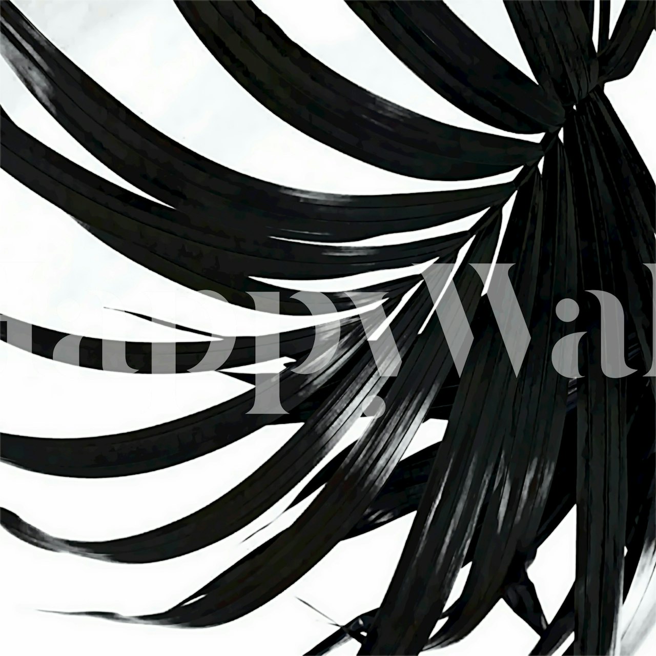Black palm leaves on white background wallpaper